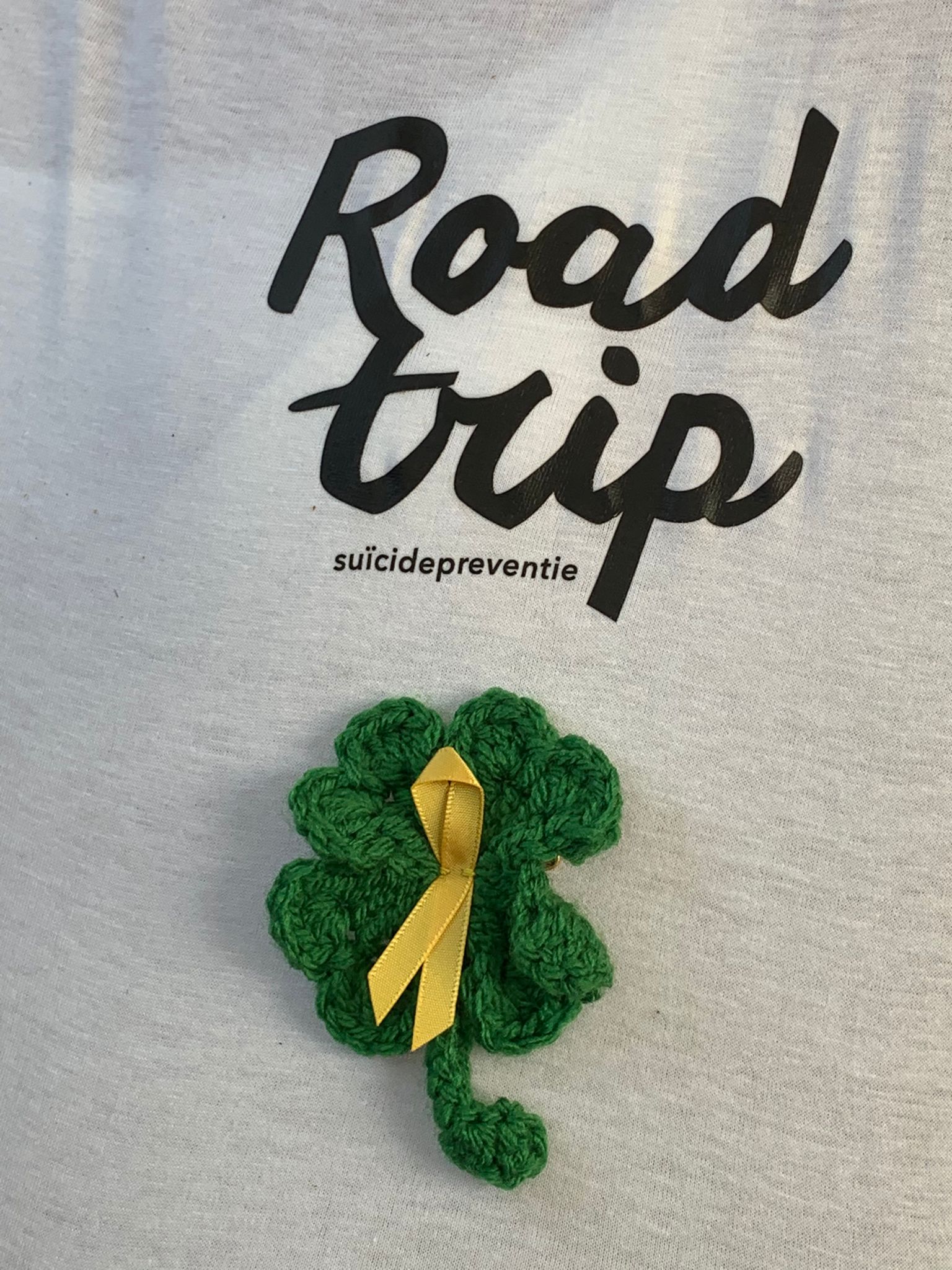 plaatje roadtrip