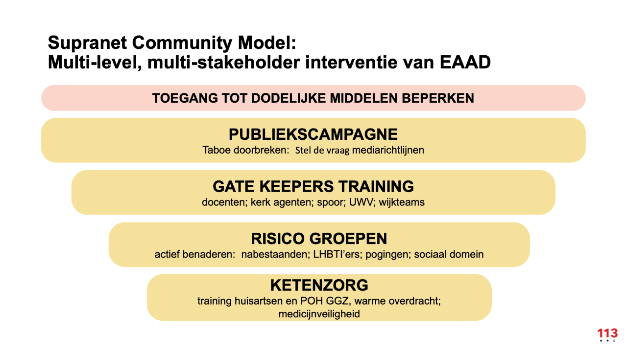 EEAD model