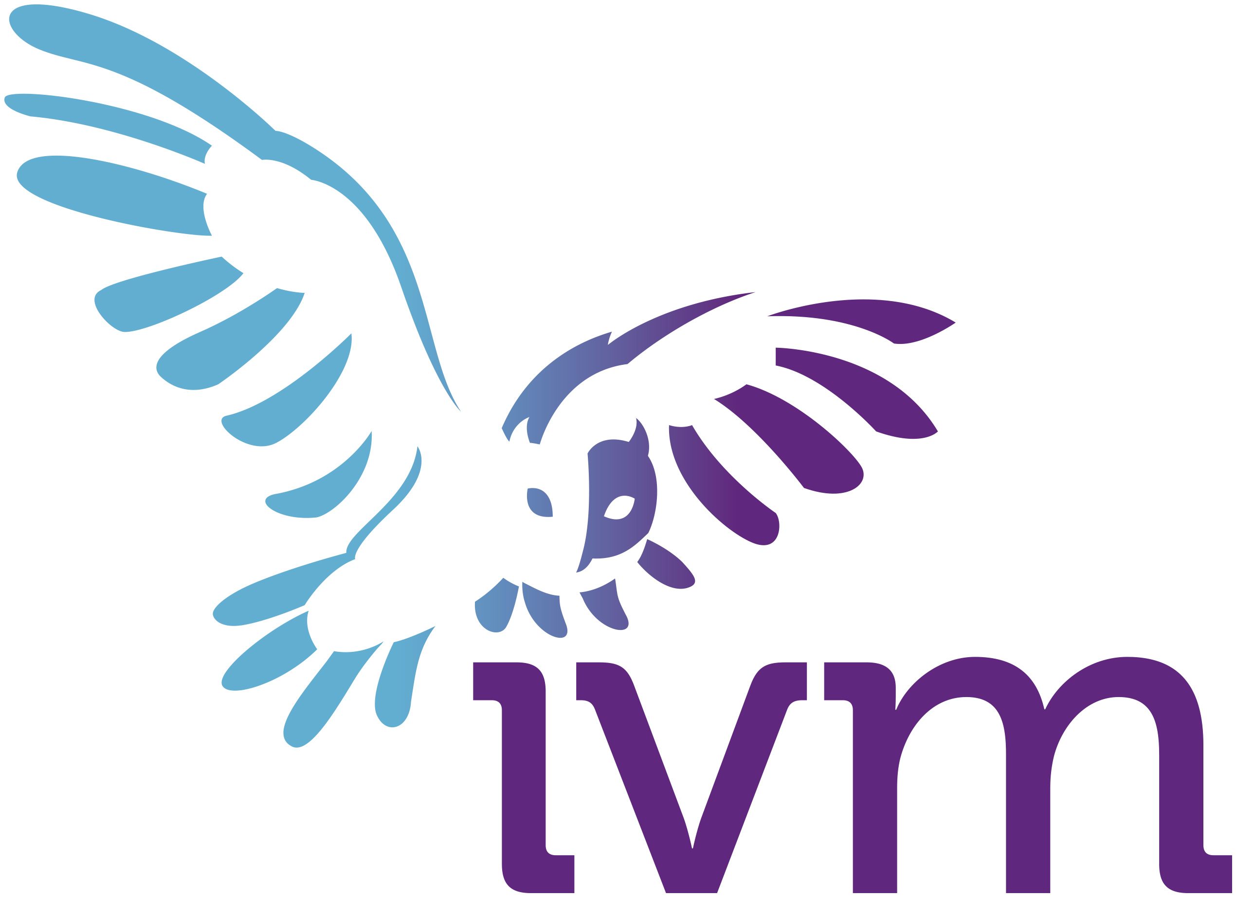 IVM logo