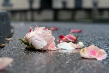 De sterfdag van mijn vrouw bloem